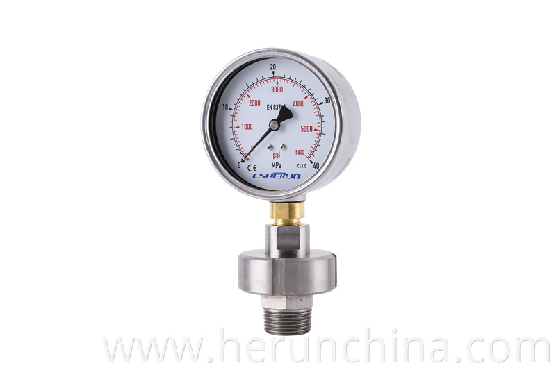 Stainless Steel Pressure Gauge